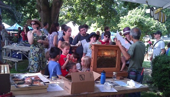 Tilth Harvest Fair 2012 - Kevin and the bees!
