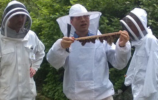 #pb_rslider_caption-1-2 Dr. Zachary Huang - PSBA Apiary