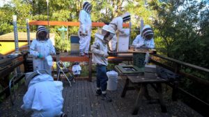 Danny Najera and a team of students making observations on and inserting sensors into our hives.